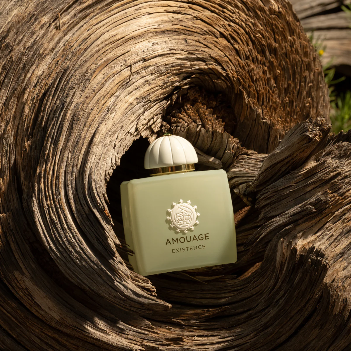 Amouage Existence