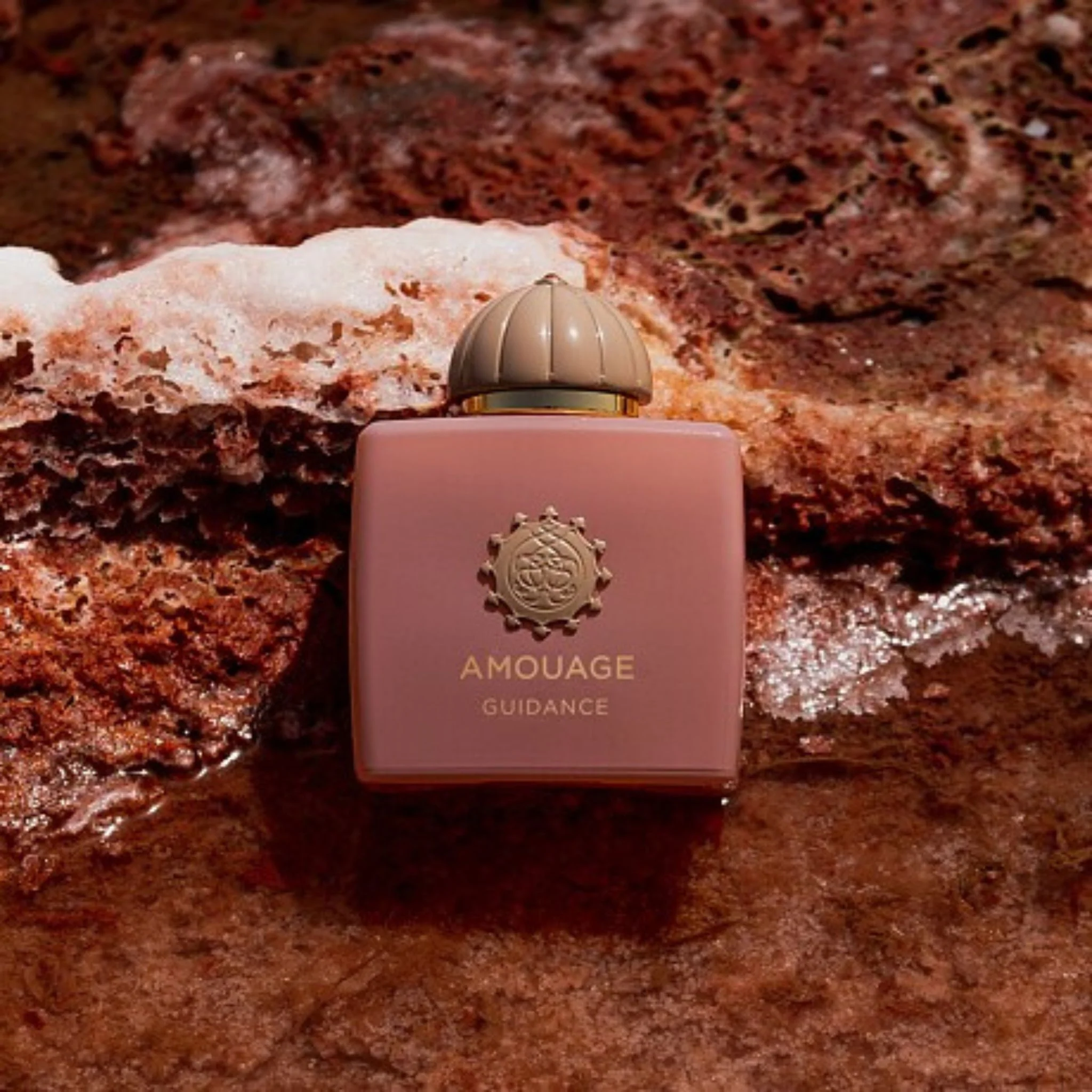Amouage Guidance