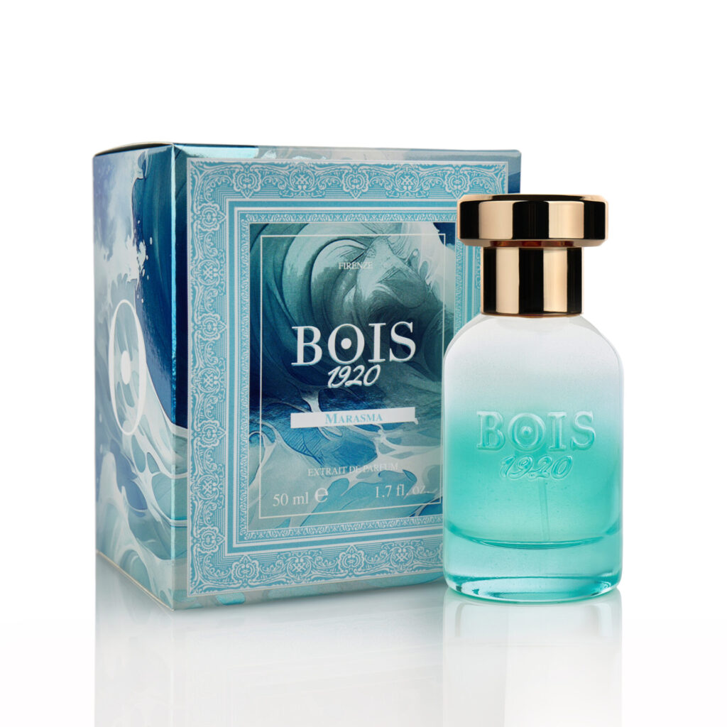 Bois 1920 Marasma