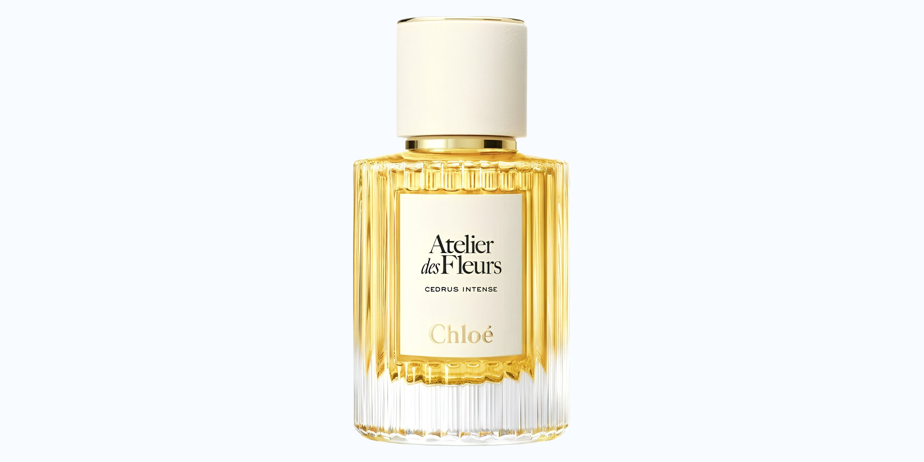 Chloe Cedrus Intense