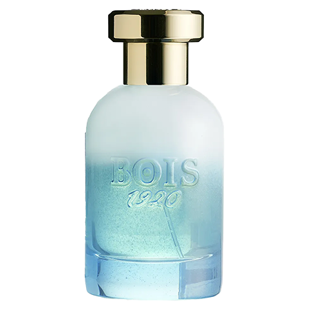 Bois 1920 Marasma