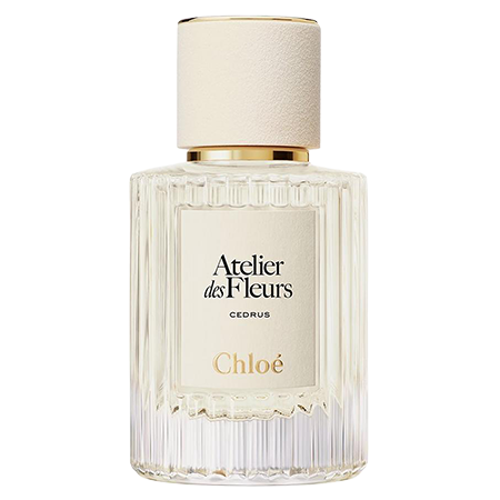 Chloe Cedrus 150