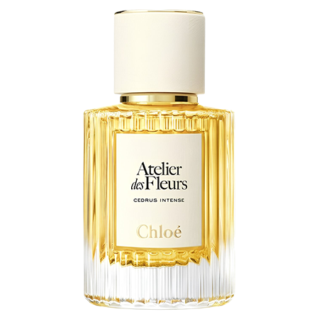 Chloe Cedrus Intense