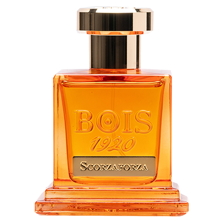 Scorzaforza by BOIS 1920